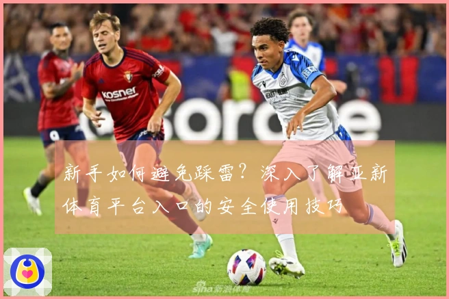 新手如何避免踩雷？深入了解亚新体育平台入口的安全使用技巧