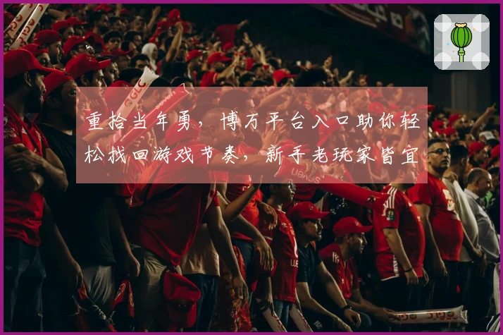 重拾当年勇，博万平台入口助你轻松找回游戏节奏，新手老玩家皆宜的上手指南