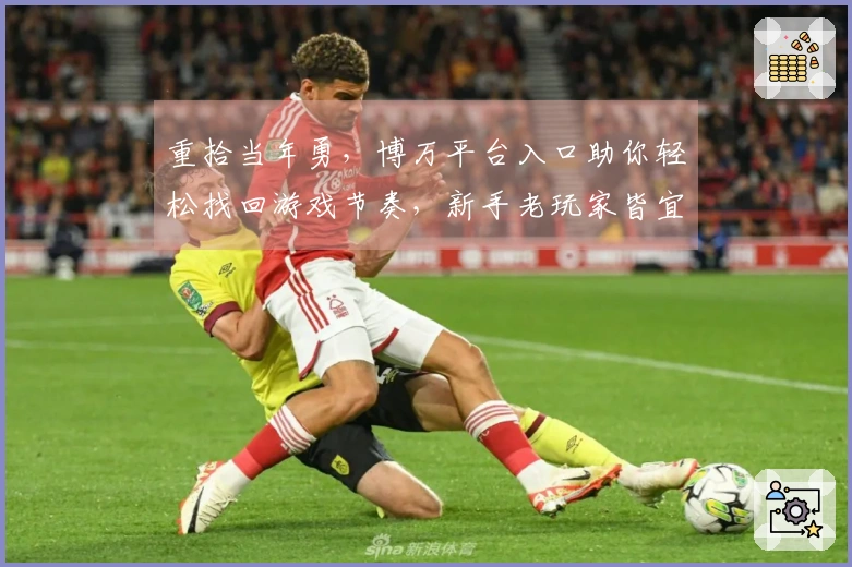 重拾当年勇，博万平台入口助你轻松找回游戏节奏，新手老玩家皆宜的上手指南